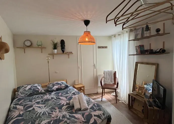 Le Duo Des Garennes - Entre Confort & Independance - Cour Exterieure En Centre Ville De Blois